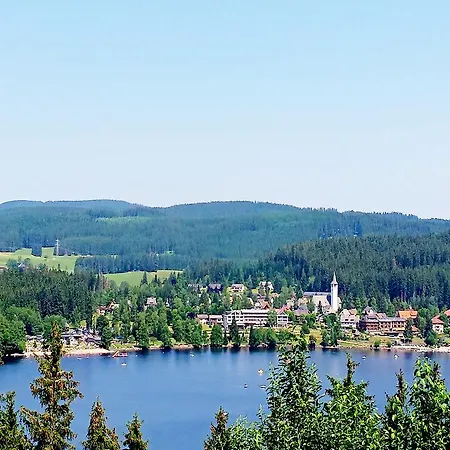 Schwarzwaldnester * Schluchsee