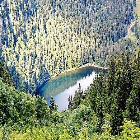 Apartament Schwarzwaldnester Schluchsee