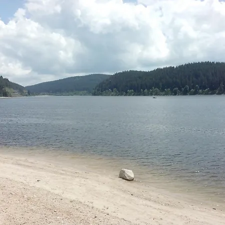 Schwarzwaldnester * Schluchsee