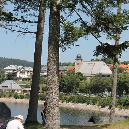 Apartament Schwarzwaldnester Schluchsee