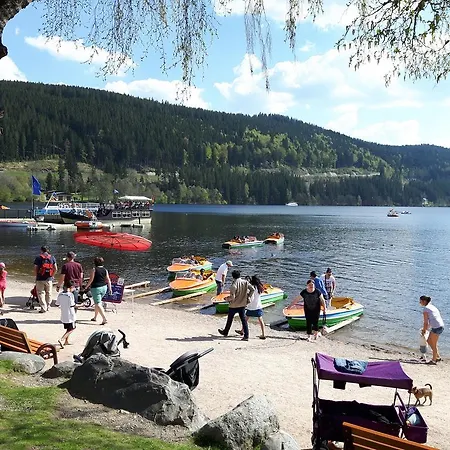 Schwarzwaldnester Apartament Schluchsee