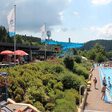 Schwarzwaldnester * Schluchsee