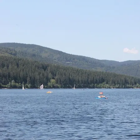 Schwarzwaldnester Schluchsee
