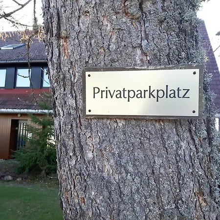 Schwarzwaldnester * Schluchsee