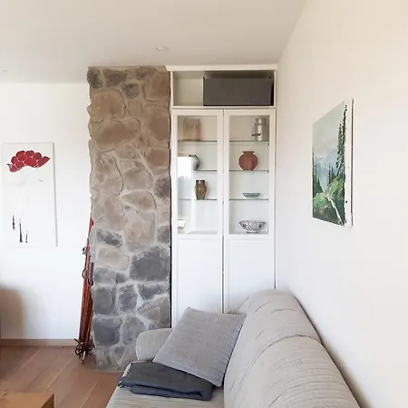 Schwarzwaldnester Apartament