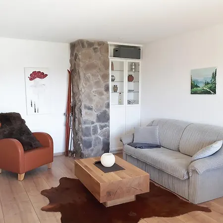 Schwarzwaldnester Apartament Schluchsee
