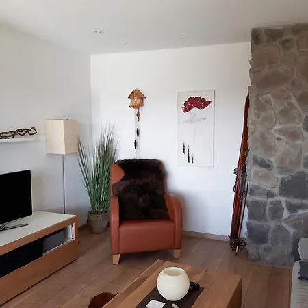 Schwarzwaldnester Apartament